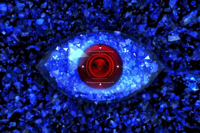 big brother vip 1