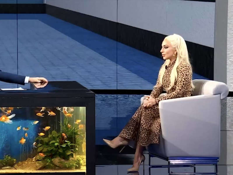 lady gaga (2)