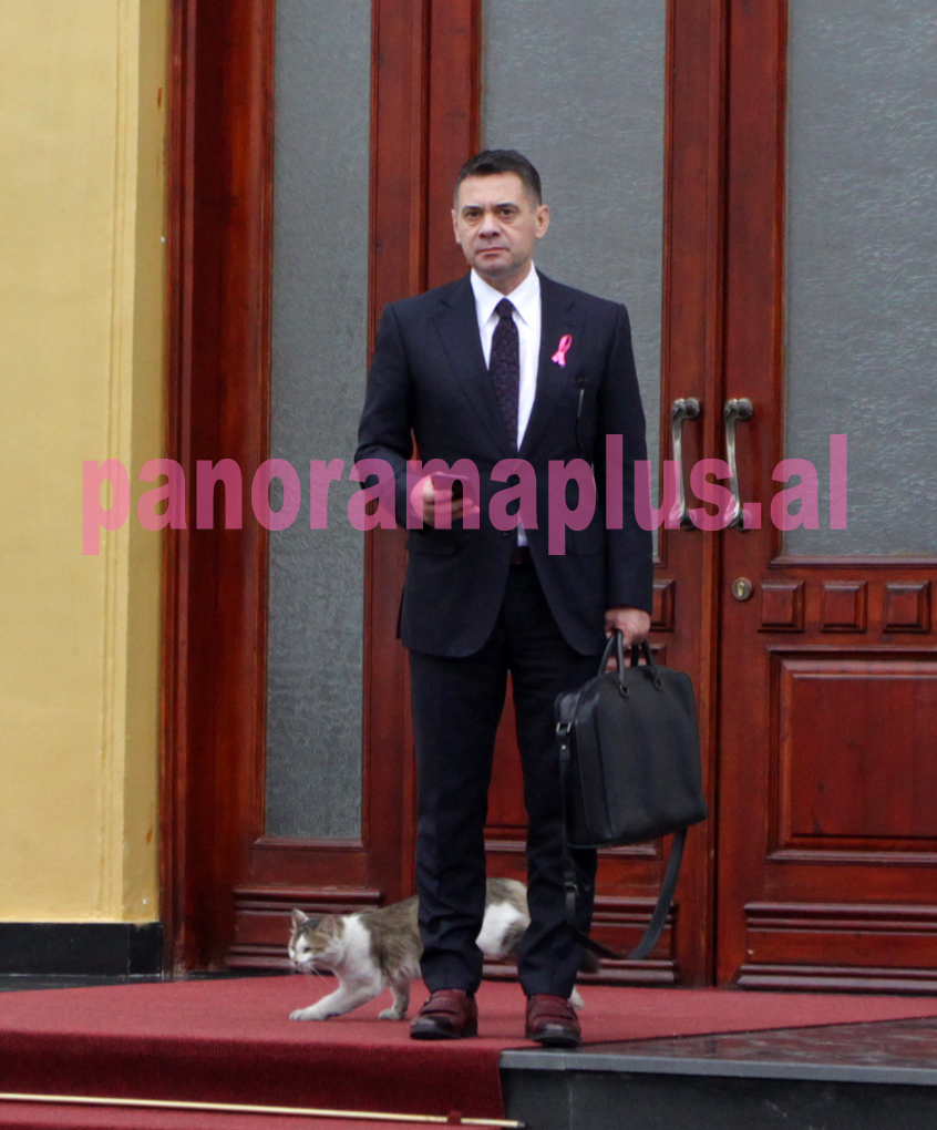 arben ahmetaj macja3