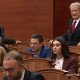 albana vokshi sali berisha