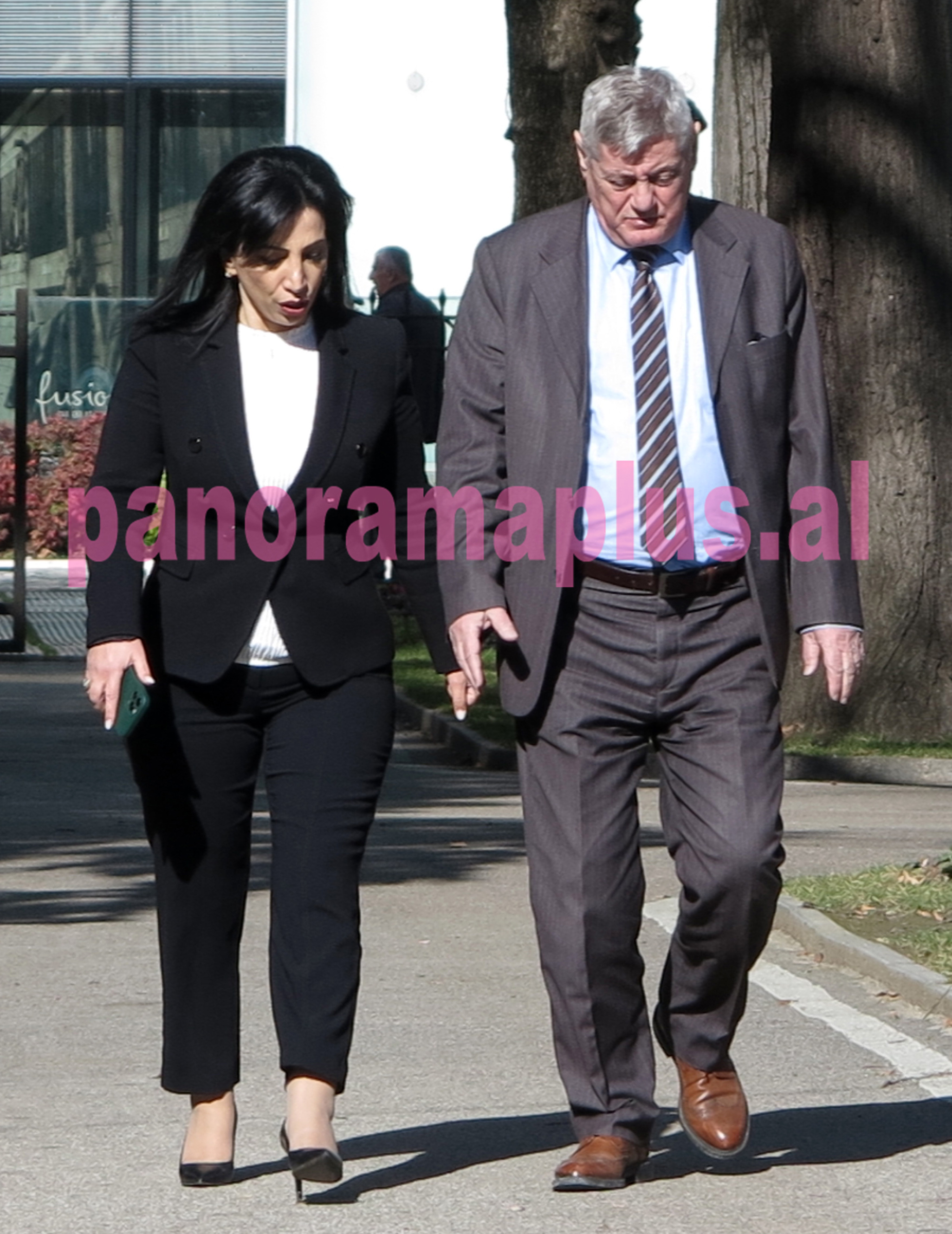 evis kushi dashamir shehi1
