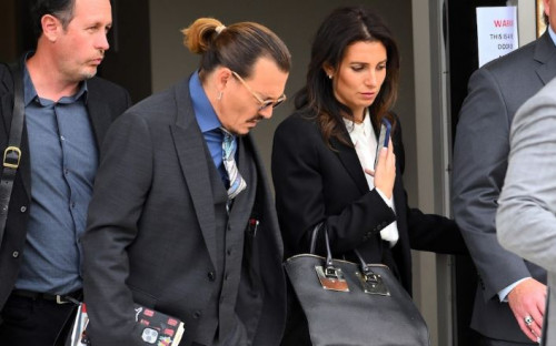 johnny depp joelle rich3