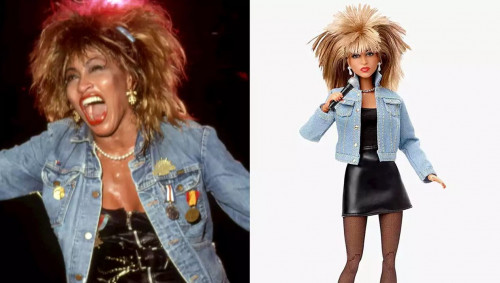 TINA TURNER