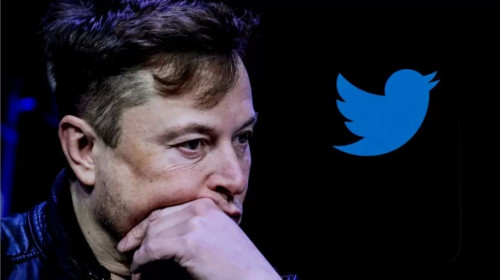 elon muskq