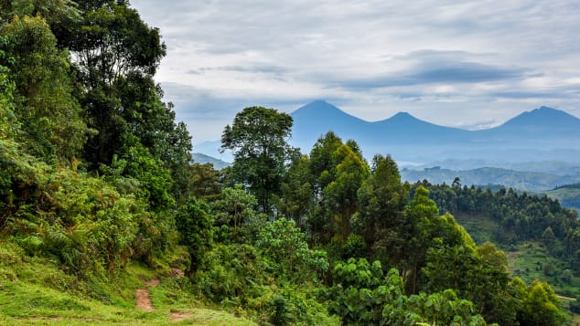http___cdn.cnn.com_cnnnext_dam_assets_221228143322-12-body-23-places-to-go-2023-uganda