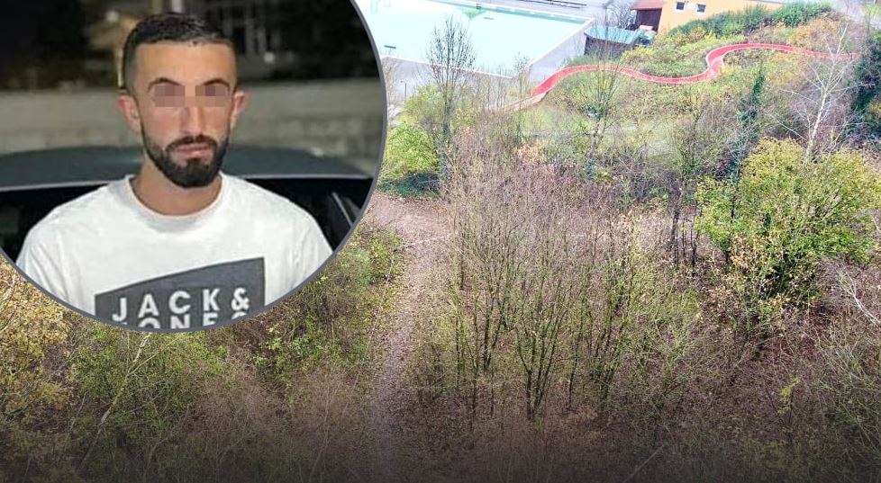 shqiptari vrasje gjermani