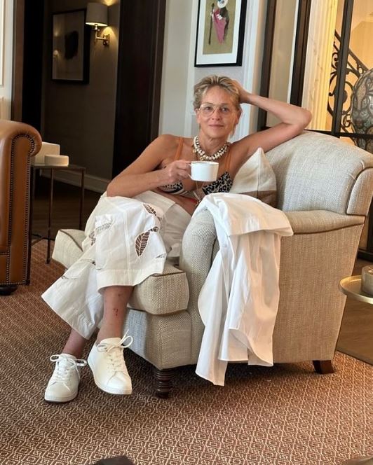 Sharon Stone2