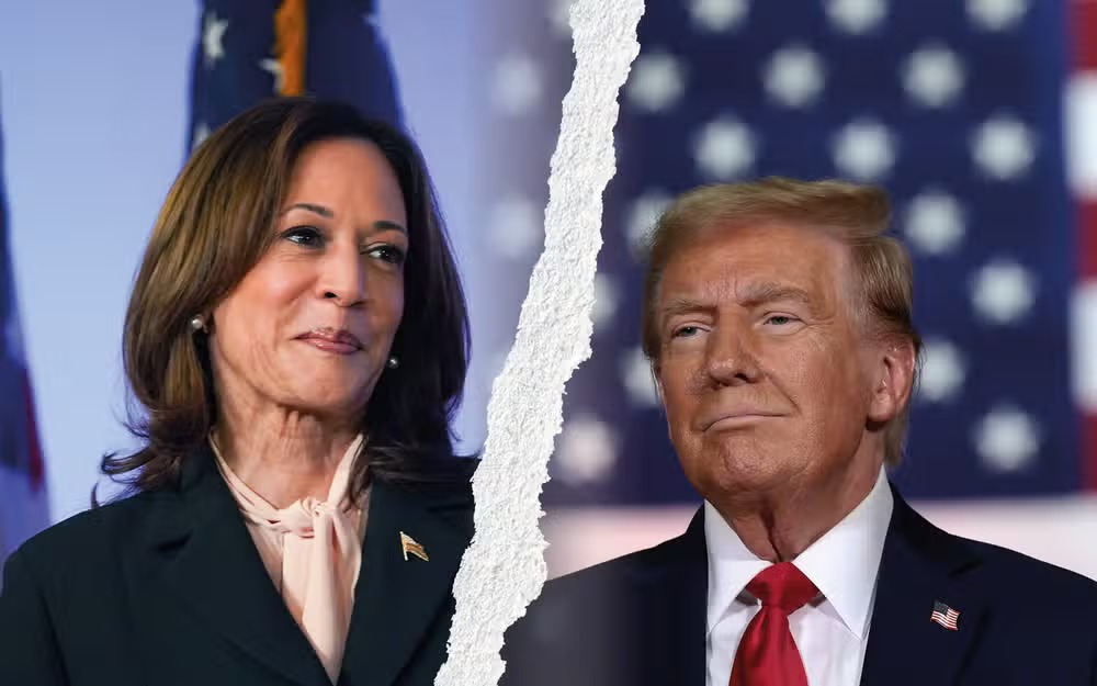 trump harris shba
