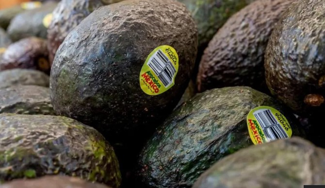 avojado