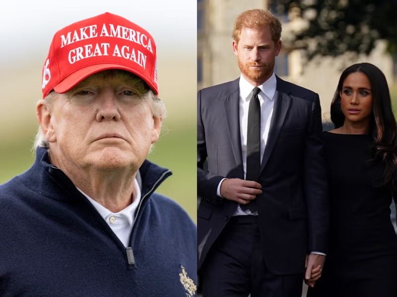 trump harry megan