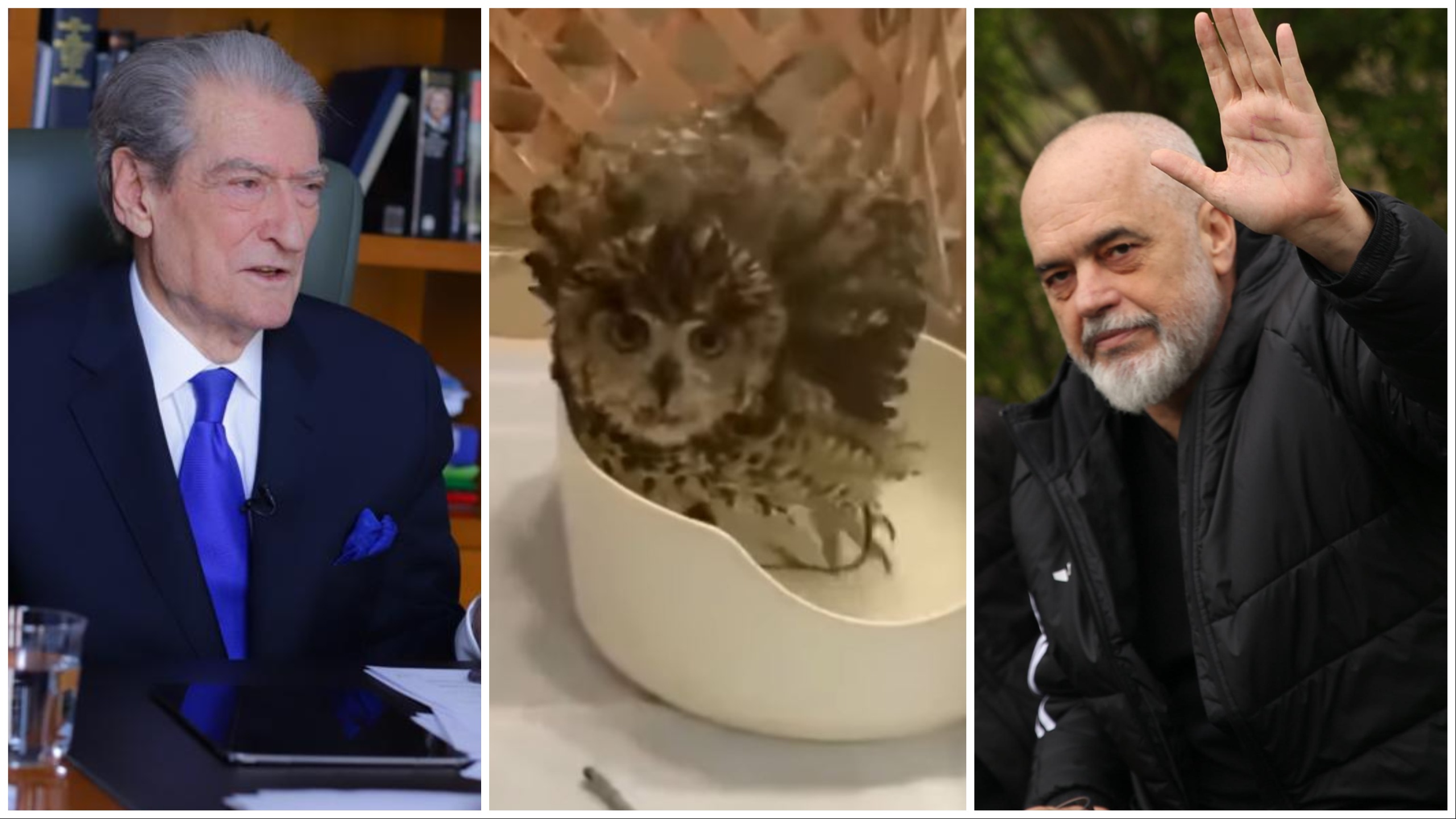 sali berisha edi rama