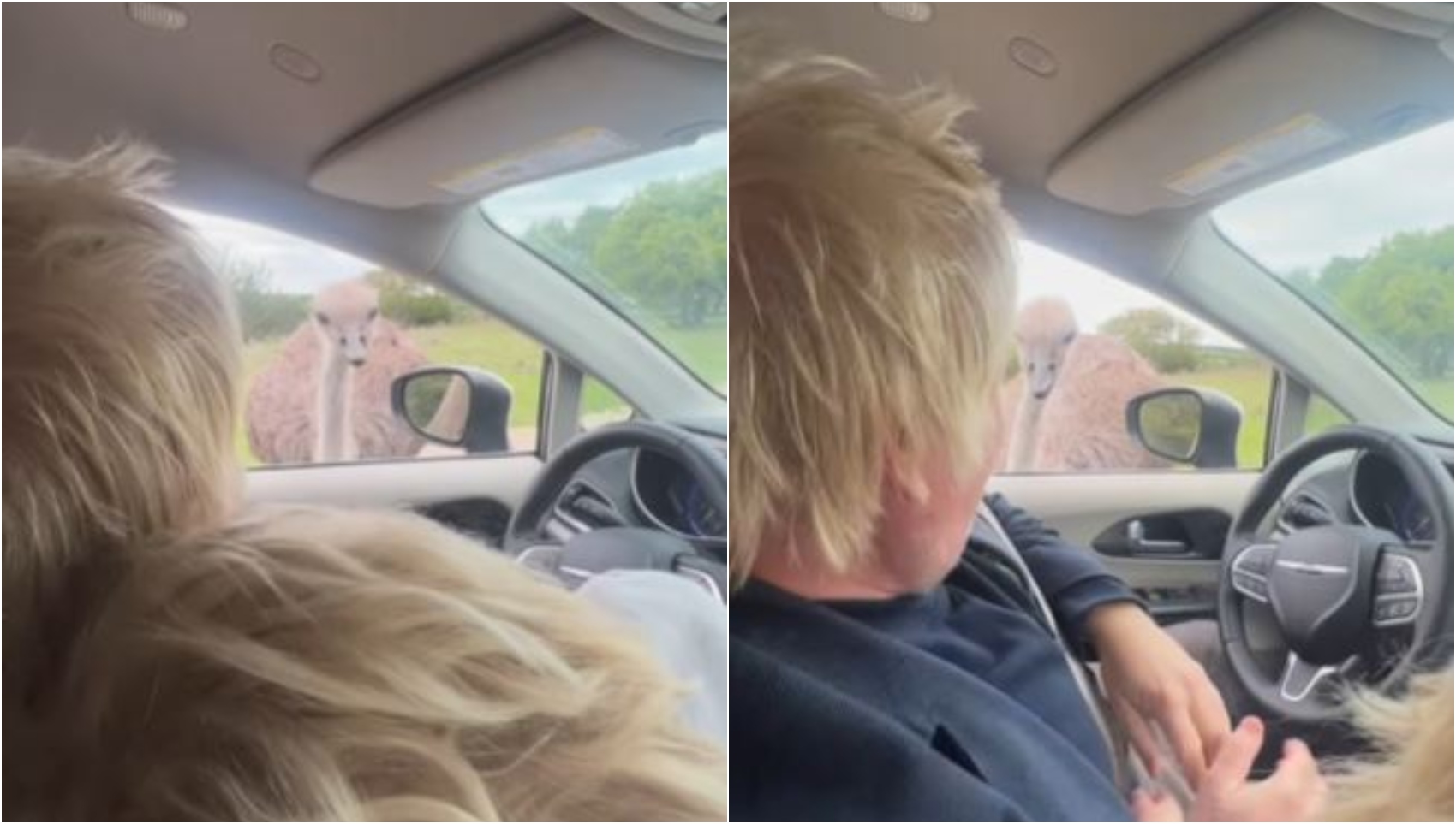 Boris Johnson