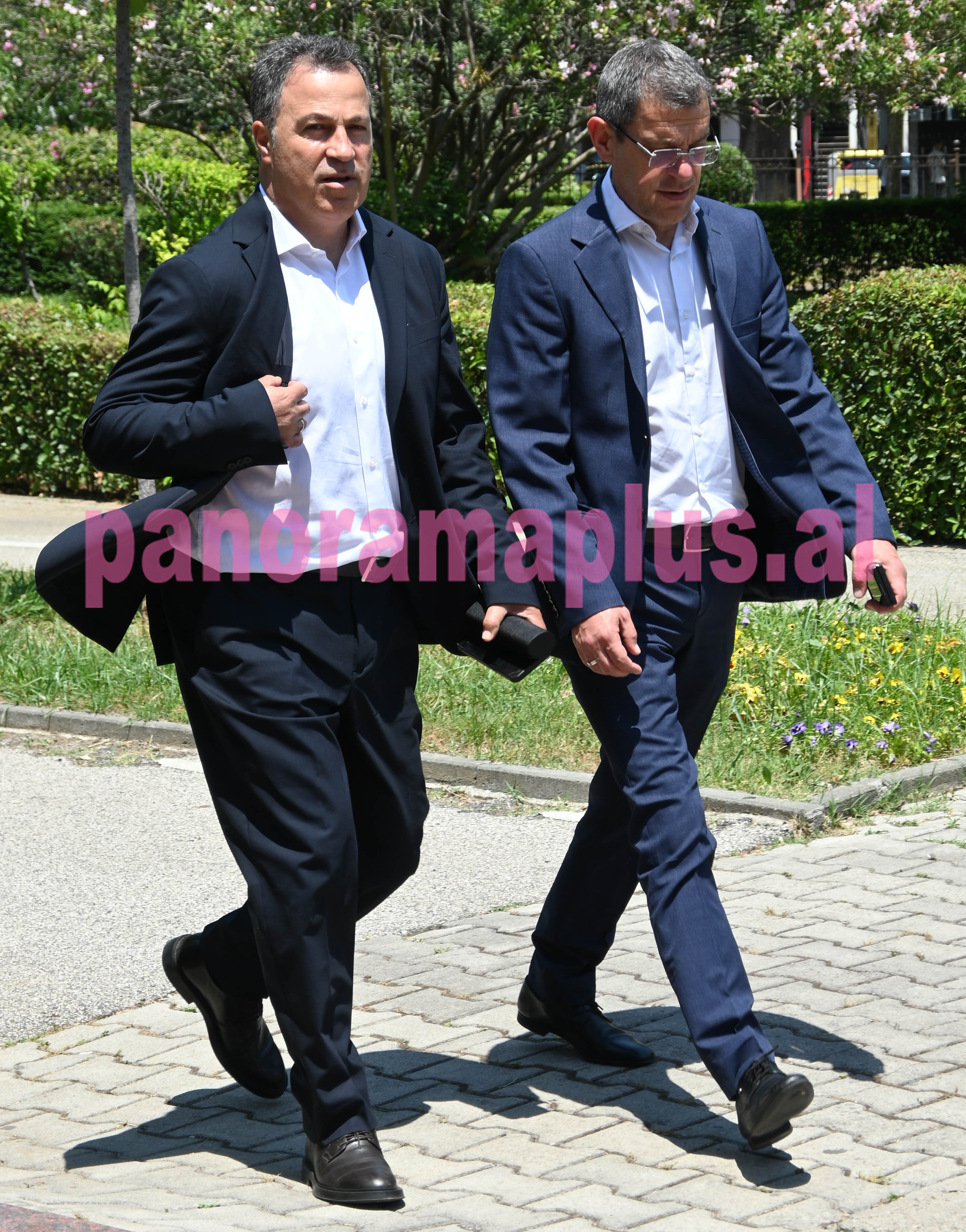 niko peleshi parlament