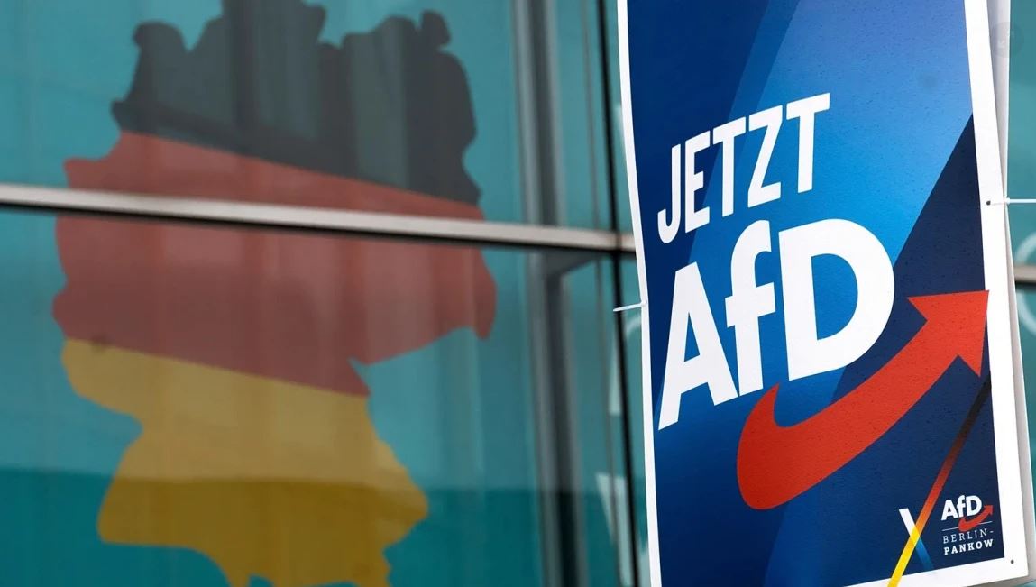 afd gjermani sondazhe