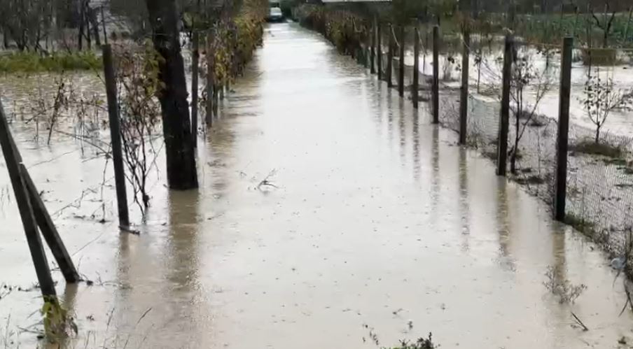 permbytje kurbin1