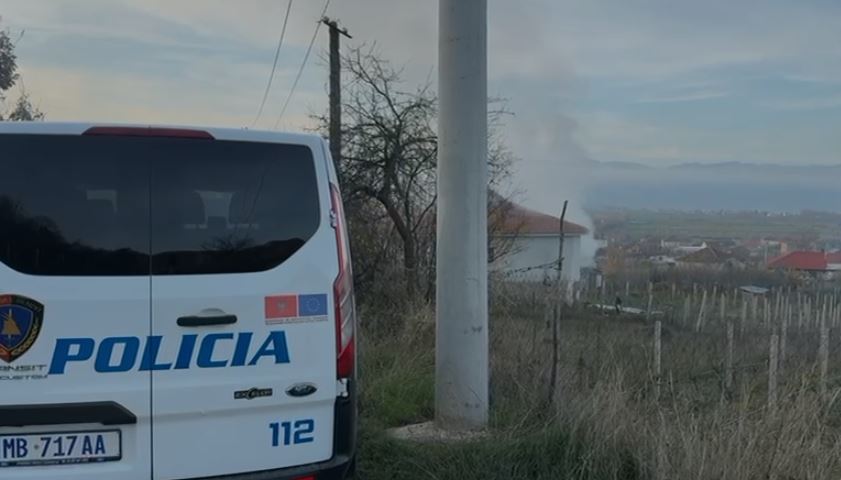 policia zjarr pogradec