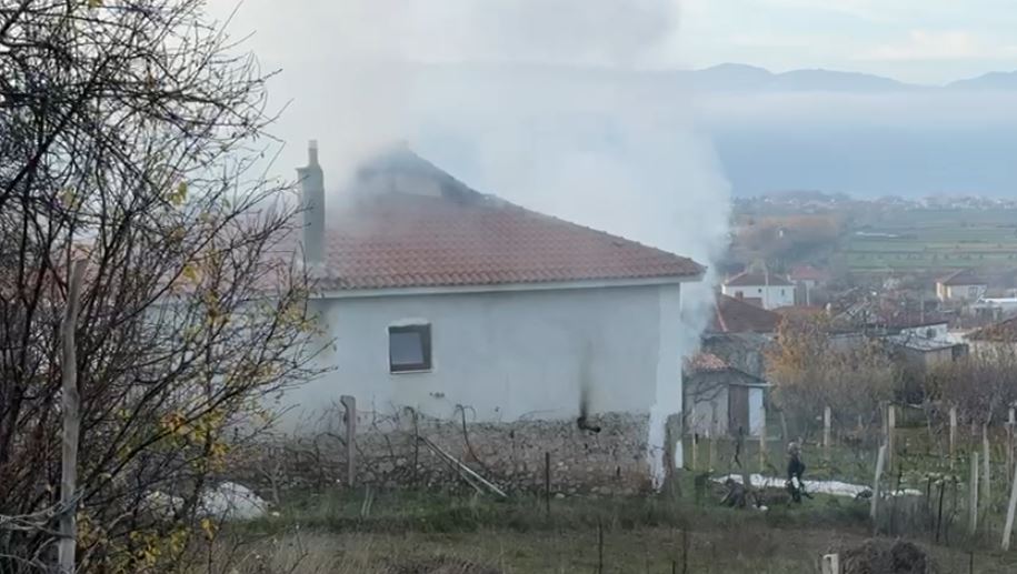 shtepia flake pogradec