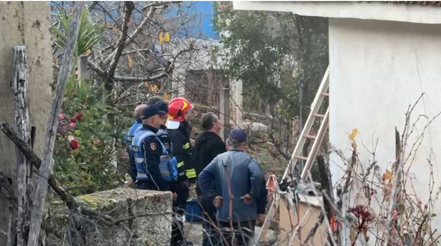 zjarrfikesit pogradec1