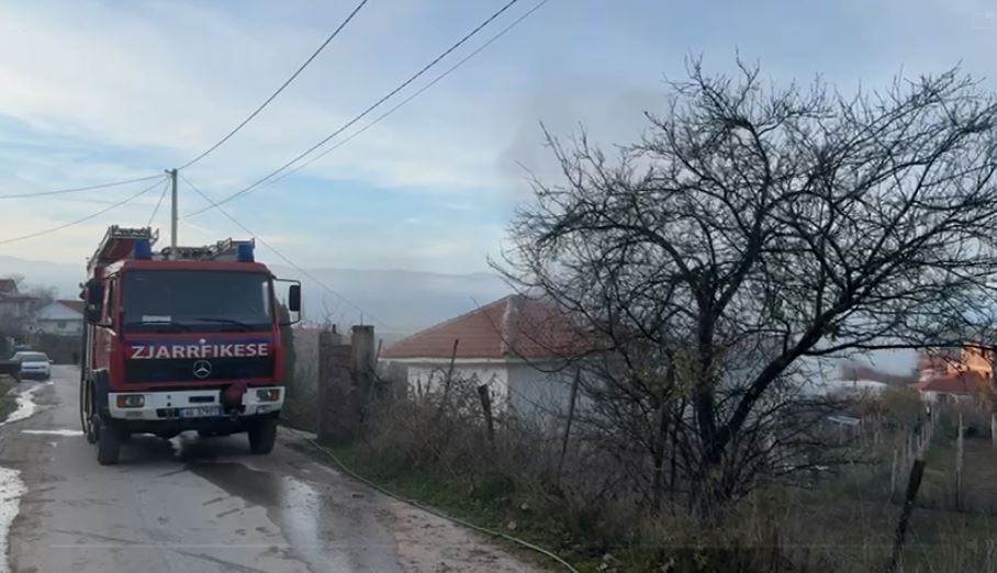 zjarrfikesja pogradec