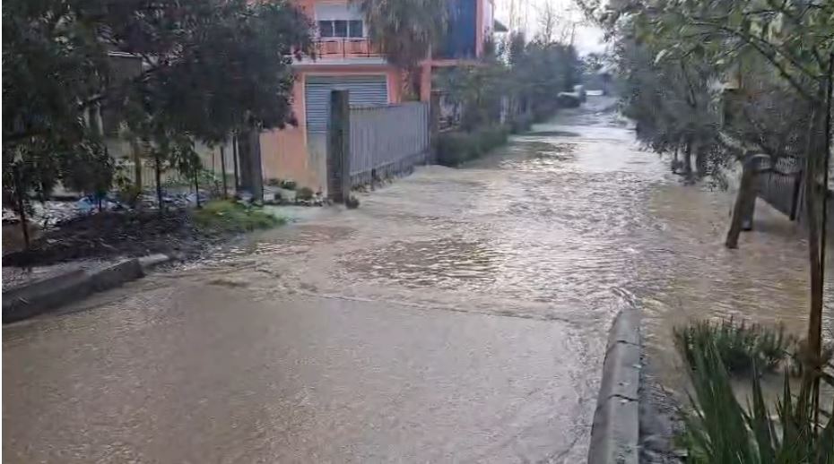 elbasan4