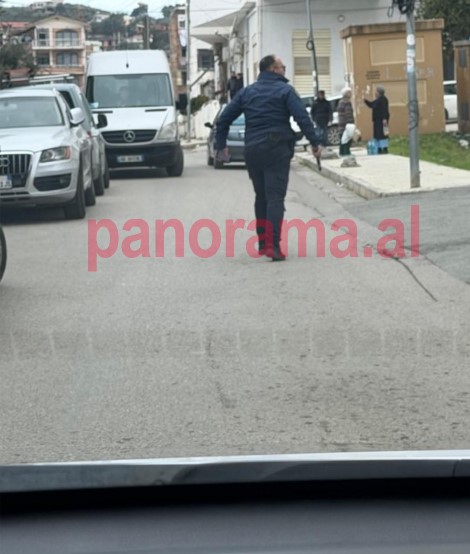 polici altin ndoci polici me arme
