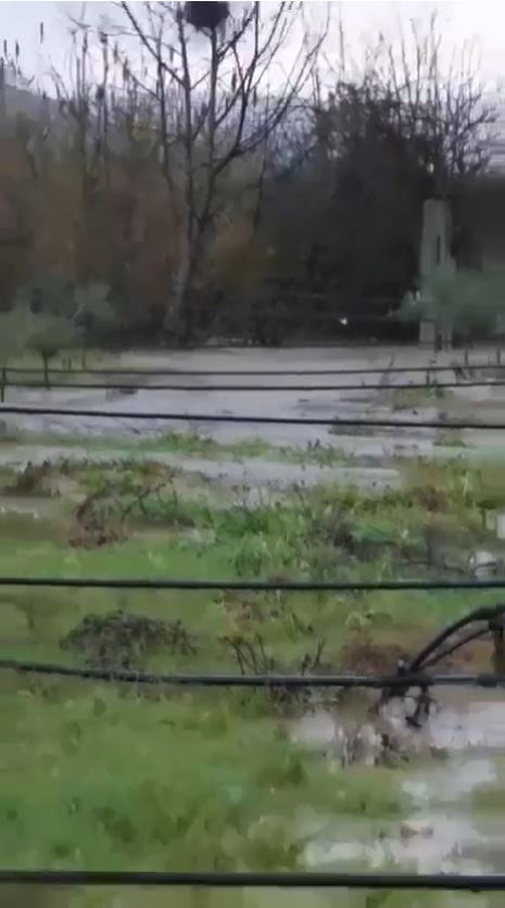 pwermbytje elbasan