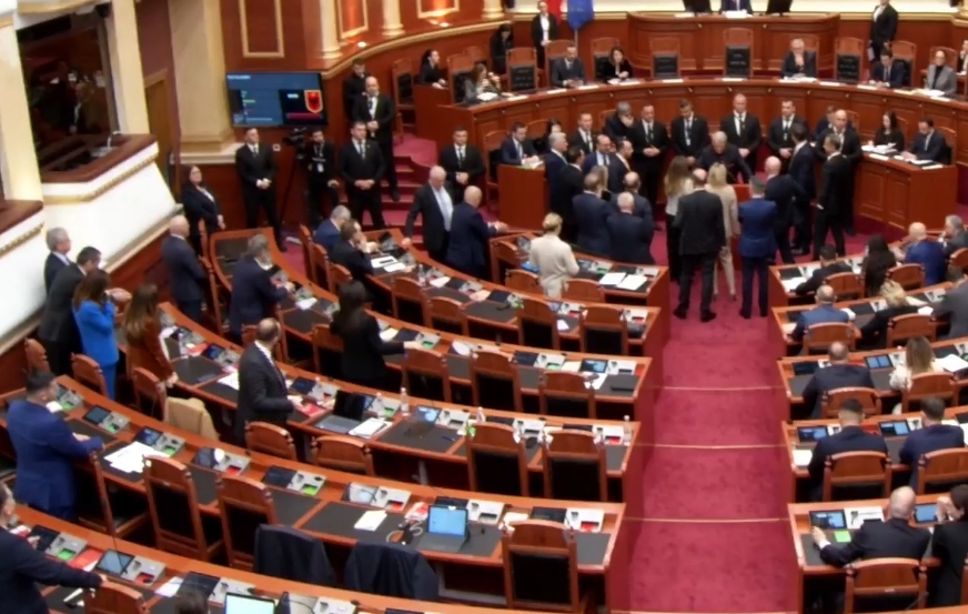 Topalli dhe bardhi gjate votimit