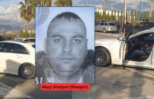 muci shaljani sheqeri