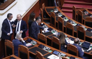 opozita ne parlament  (2)