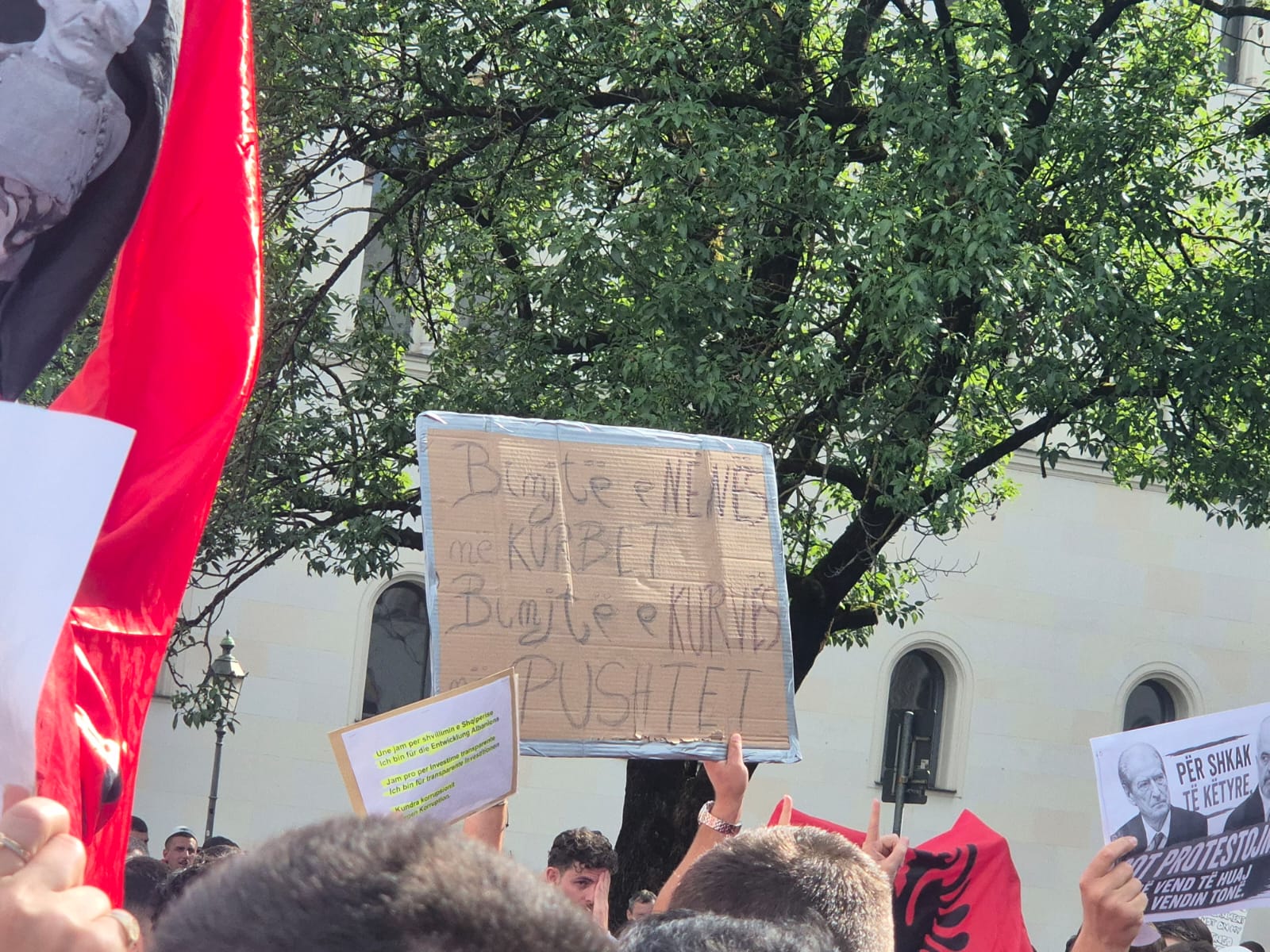 Mynih protesta (2)