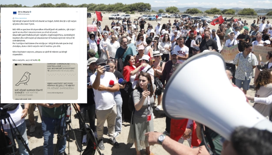 Protesta ne Zvernec