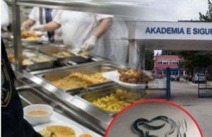 akademia sori al