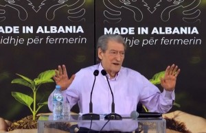 berisha cerrik