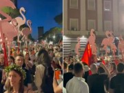 ‘Marshimi i flamingove’ mbushet sheshi para Kryeministrisë, aktivisti: O Sali o fosil, prite Ramën në azil