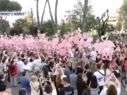 Spektakël në protestë, parakalim i flamingove! Qytetarët zgjedhin gjestin e bukur për të përshëndetur amendamentin e PE
