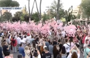 flamingo proteste