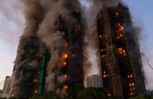hong kong pallate