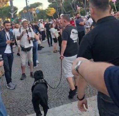 video-protesta-e-mijera-shqiptareve-para-kryeministrise-i-kthehet-normalitetit-nje-i-ri-me-qen-provokoi-qytetaret-duke-i-share-e-fyer