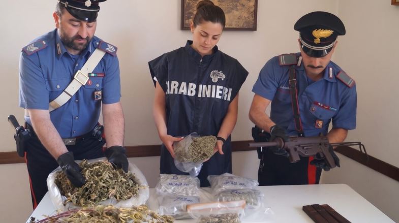 marijuana shqiptari torino