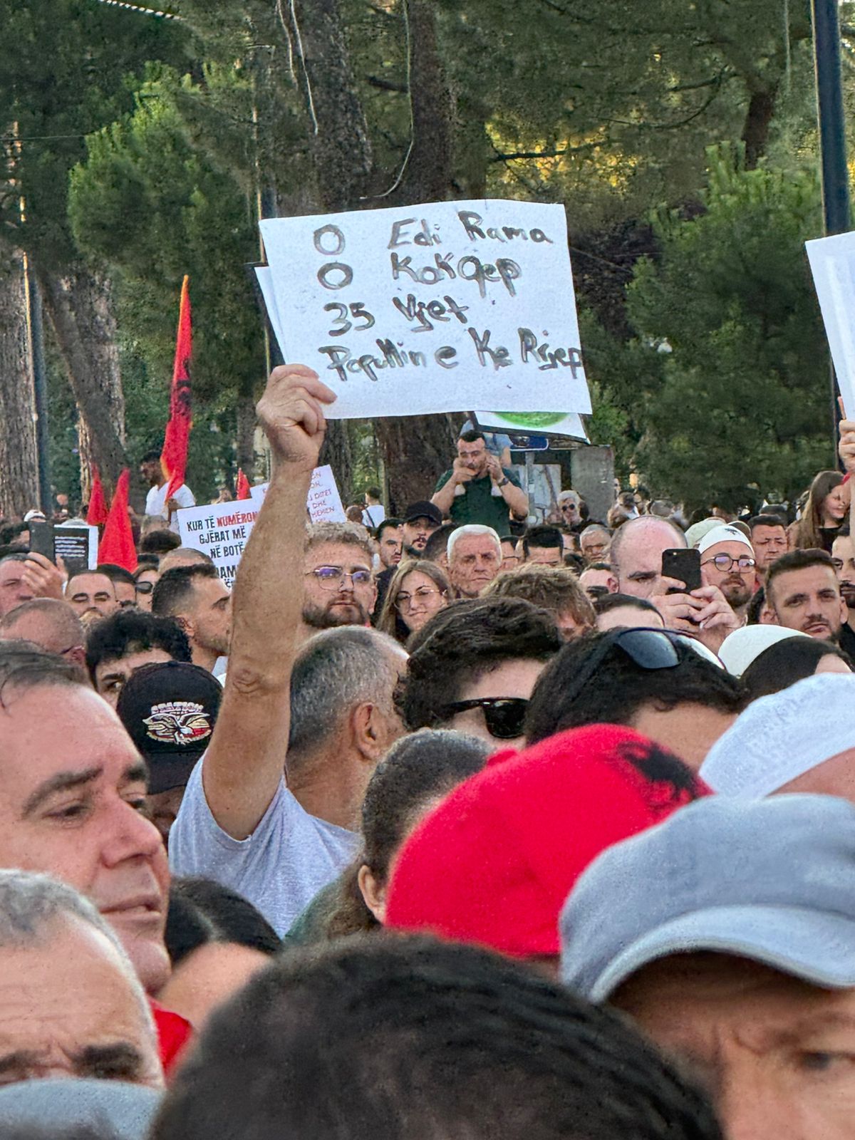 pankarta therese protesta e 17 (5)