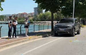 pogradec plagosja1