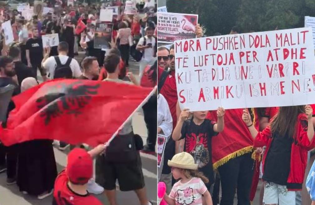 FOTO   Rama në burg  Berisha në burg   Protestave masive të Diasporës në mbarë botën i bashkohet edhe shqiptarët e Vjenës  kërkojnë dorëheqjen e Qeverisë 
