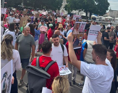 protesta vjene2