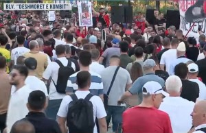 protestee