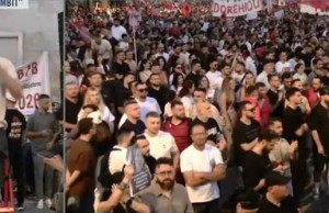 protestuesi aktivist