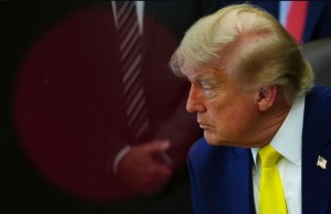 trump donald