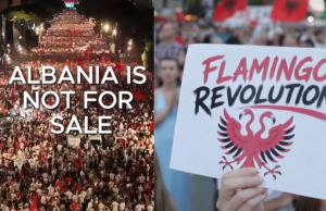 Alde party Flamingo
