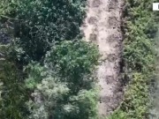 Goditen disa raste të kultivimit të kanabisit, arrestohen tre persona, mes tyre edhe një grua