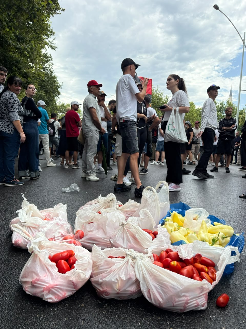DOMATE VEZE SPECA PROTESTA (3)