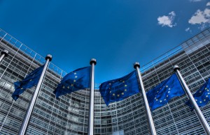 European_Union_Flags_2a